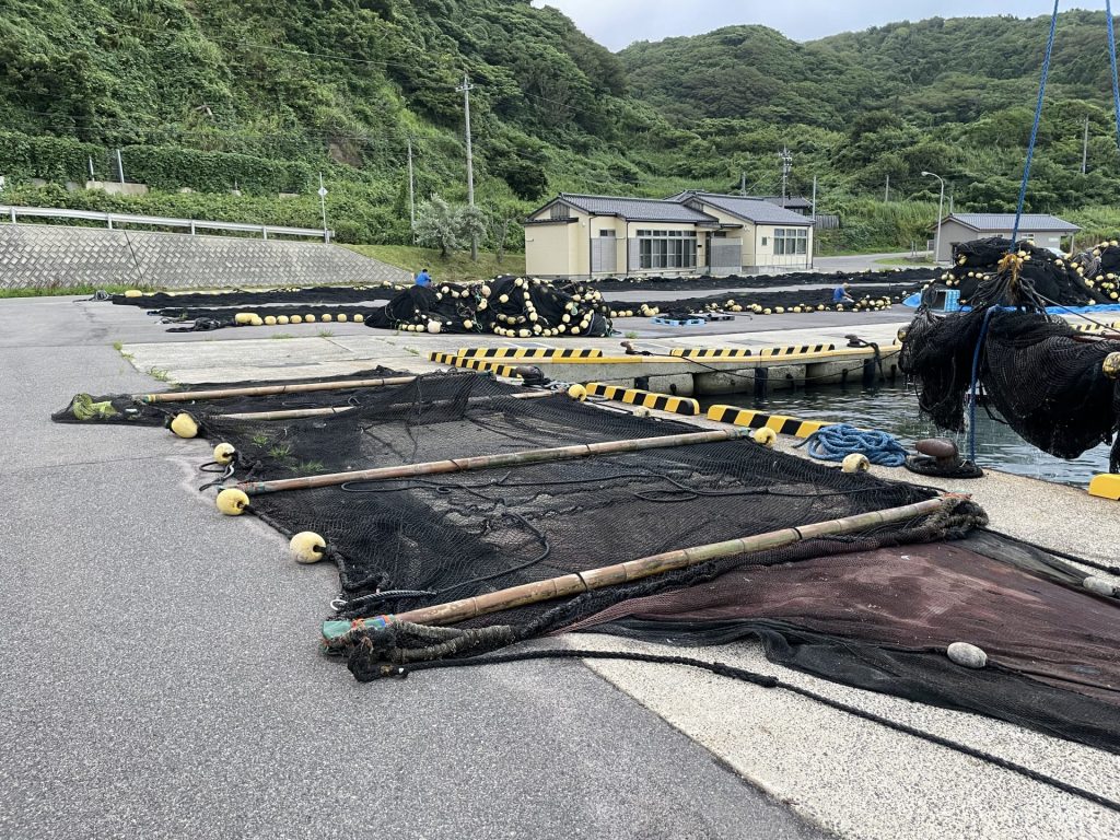 沖網「吹き流し」の操業