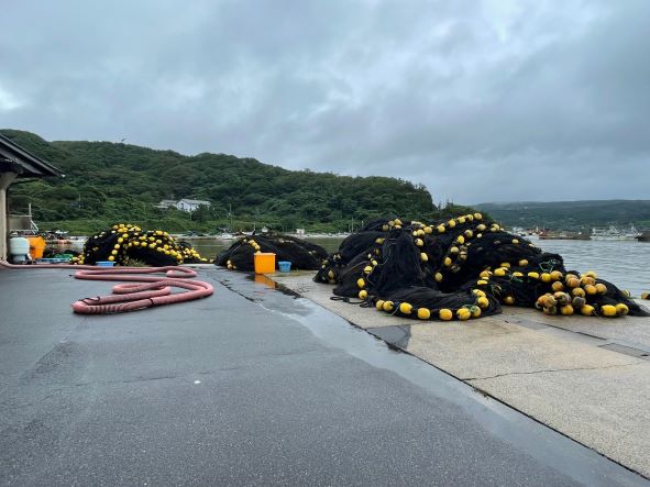 台風11号に備えて