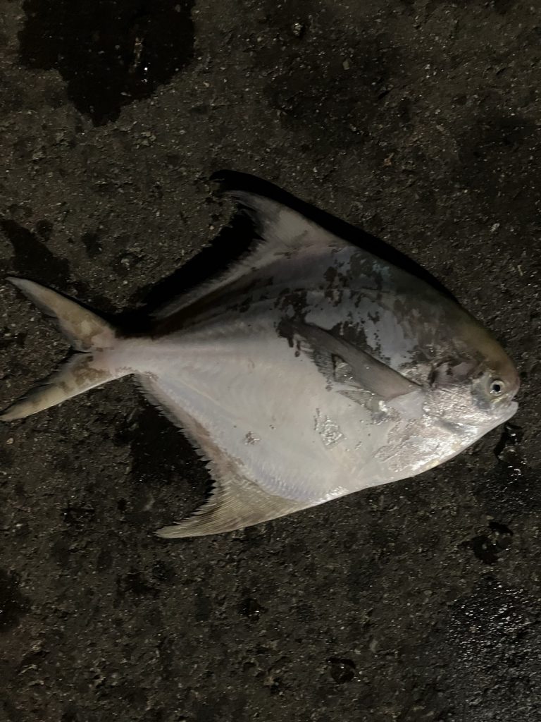 漁況